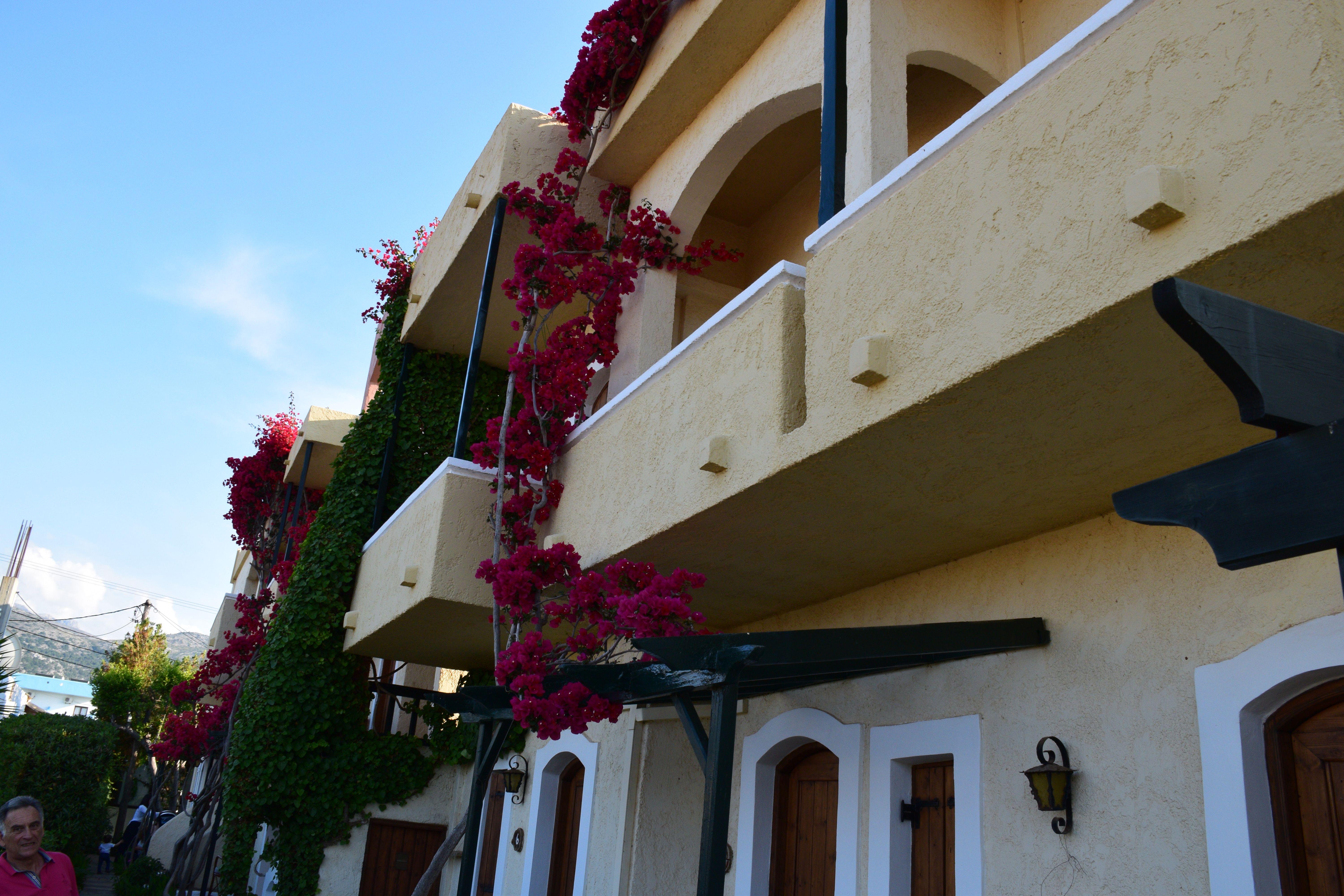 Mila Malia Studios Hotel Exteriér fotografie