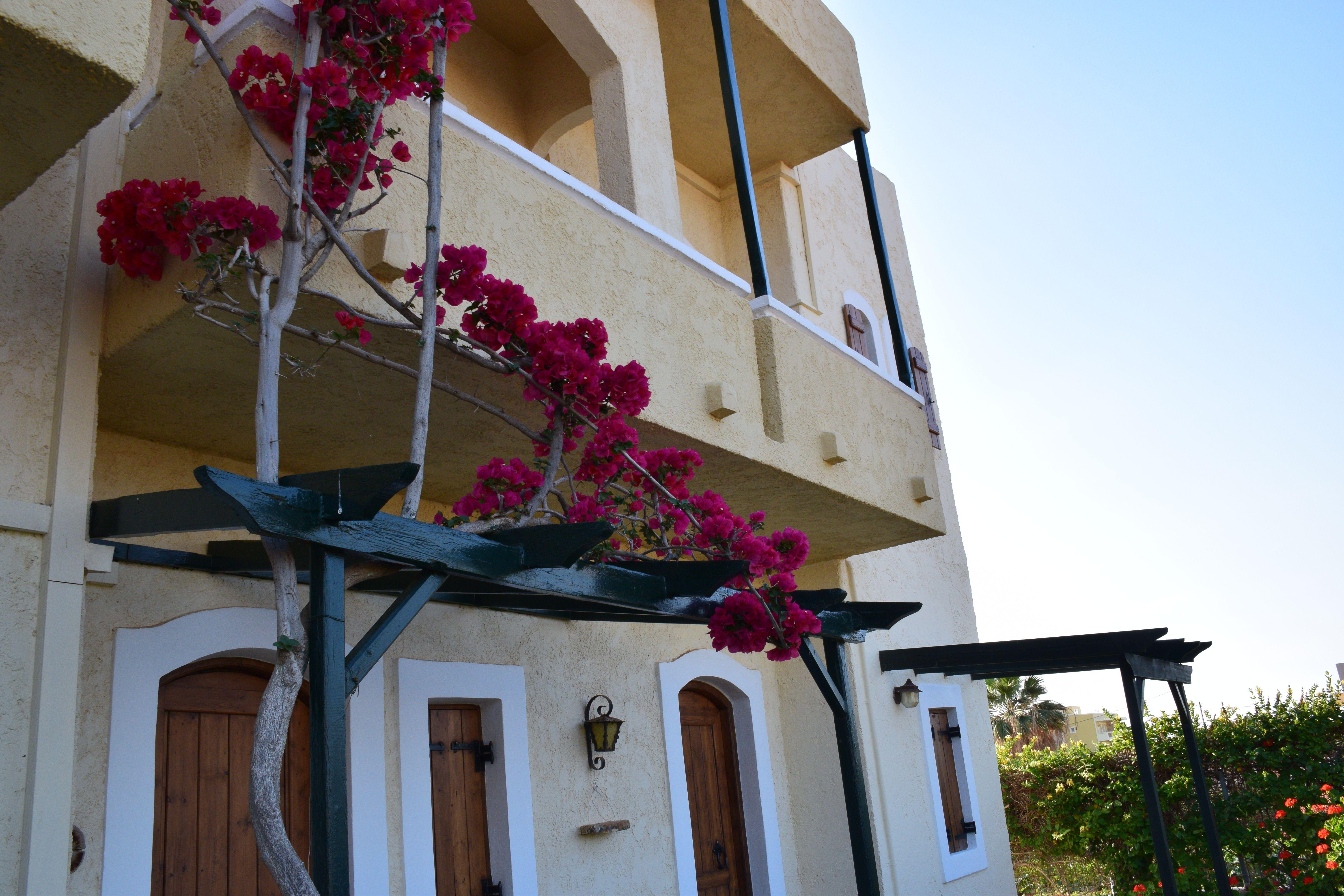 Mila Malia Studios Hotel Exteriér fotografie